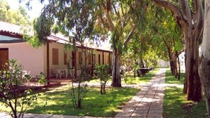 A pathway leading to a building with a tiled roof and a small garden area with trees and shrubs.
