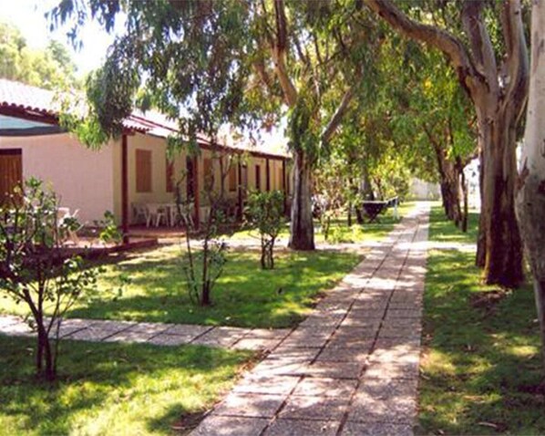 A pathway leading to a building with a tiled roof and a small garden area with trees and shrubs.