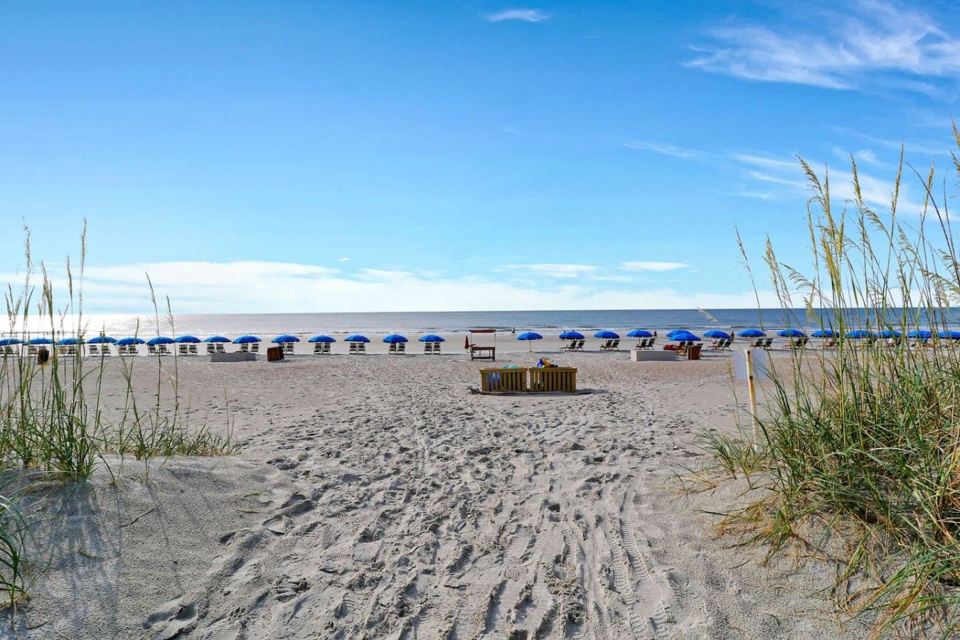 Een strand met rijen blauwe parasols en ligstoelen, een houten constructie in het midden en zandduinen met gras op de voorgrond.