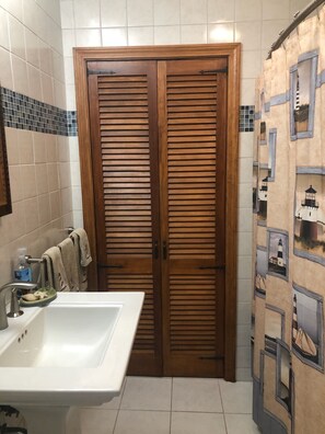 Combined shower/bathtub, hair dryer, soap, toilet paper