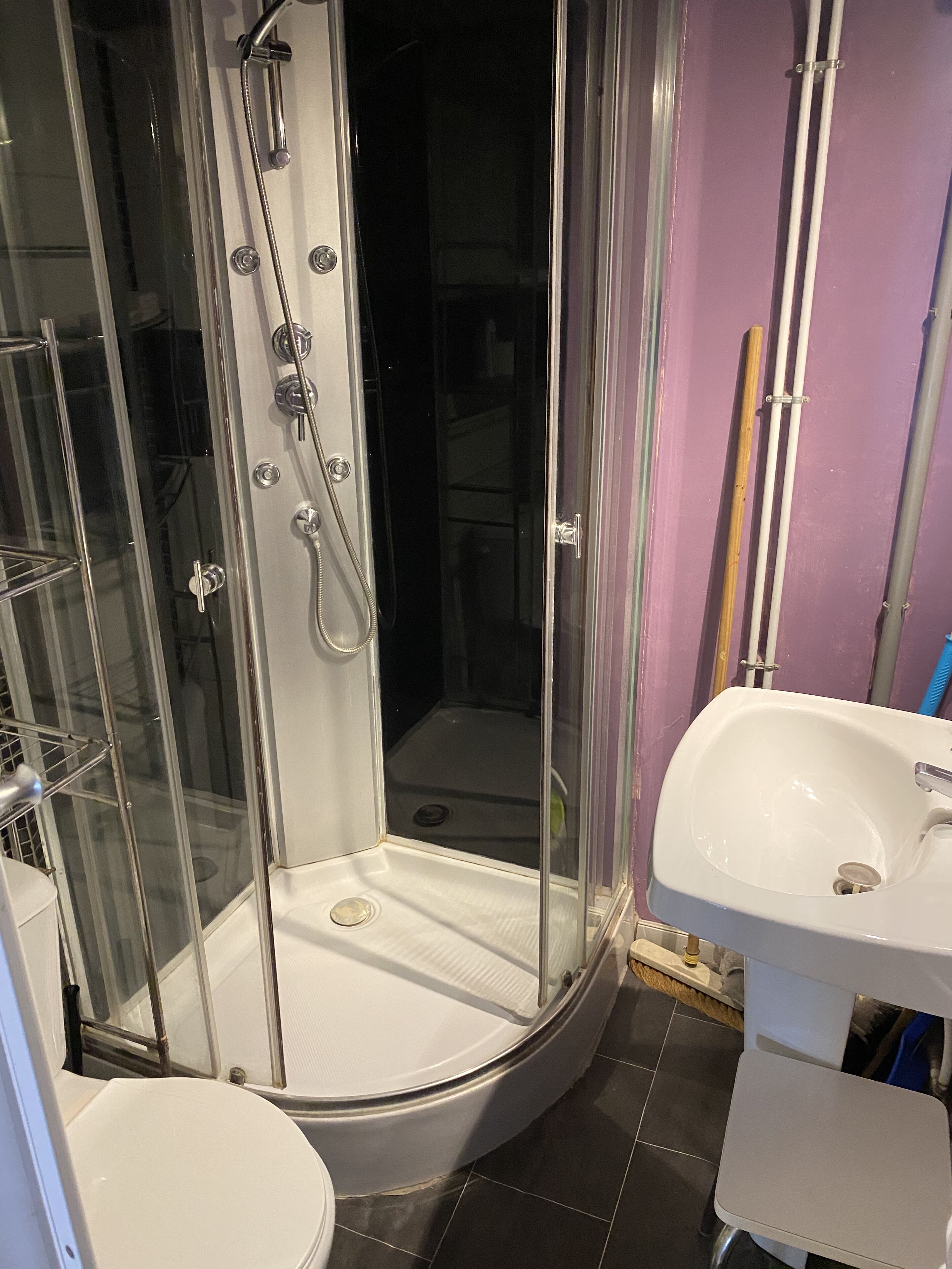Un box de ducha con puerta de cristal, un lavabo blanco y un inodoro.
