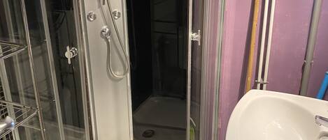 Un box de ducha con puerta de cristal, un lavabo blanco y un inodoro.