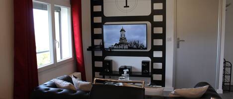 TV, DVD player, books, video library