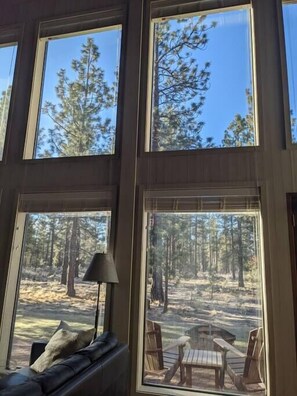 Enjoy expansive views of the surrounding forest from the comfort of this room, featuring a sofa, table, and lamp.