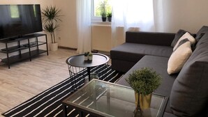 A modern living room with a flat-screen TV on a black stand, a grey sofa, a glass coffee table, and a striped rug. - beautiful place in the village (Elsteraue)