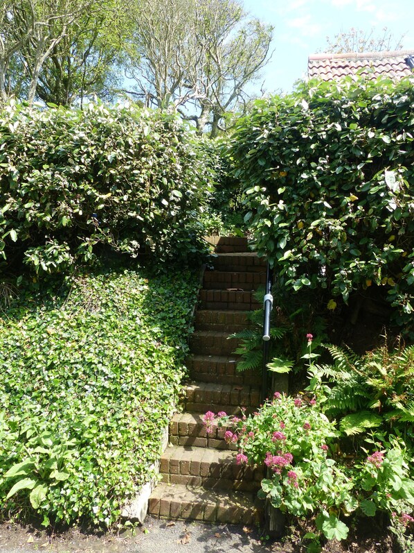 A stone staircase surrounded by lush greenery and flowering plants. - Idyllic rural retreat - Generous ferry discounts available (Isle of Wight)
