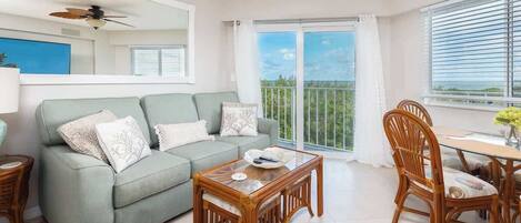 TV connectée, livres, espaces bureaux