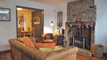 Télévision, cheminée, lecteur de DVD, vidéothÚque