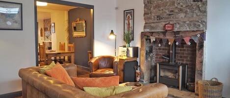 Televisio, takka, DVD-soitin, videokirjasto