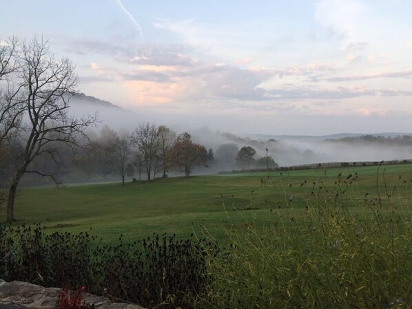 A misty landscape with a clear sky, a grassy field, and leafless trees.