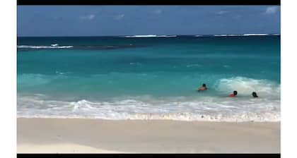 Caribbean Beach Front Villa With Swimming Pool