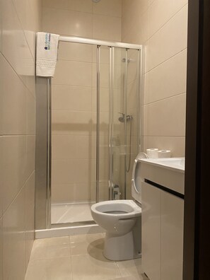 Bathroom features a glass-enclosed shower with handheld showerhead and wall-mounted faucet, alongside a toilet and towel rack.