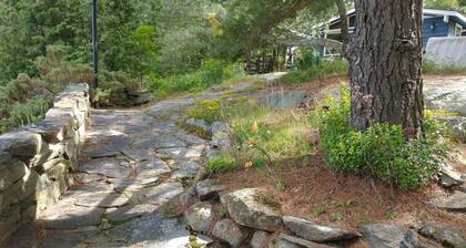 A fishing and swimming dream! 2 Bedroom Island Cottage Retreat on Georgian Bay