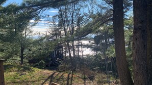 A forested area with a wooden deck and a view of the water.