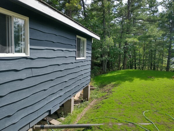 Una casa con un muro exterior ondulado y un patio cubierto de césped, con árboles al fondo.