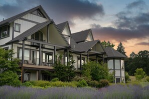 A modern two-story house with a balcony, surrounded by lush greenery and a field of purple flowers.