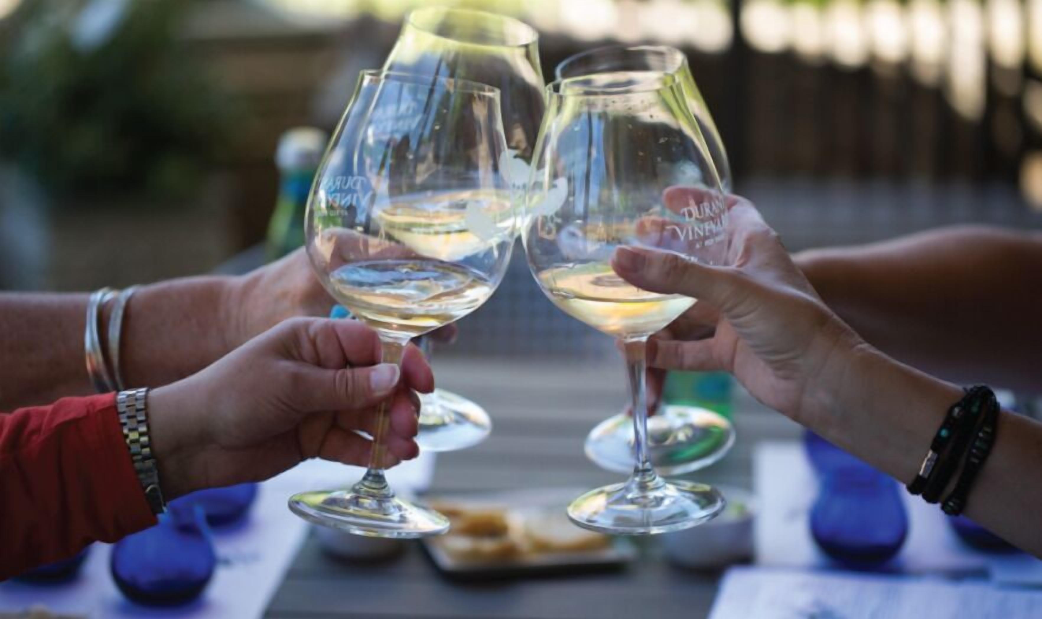 Two people toasting with wine glasses.
