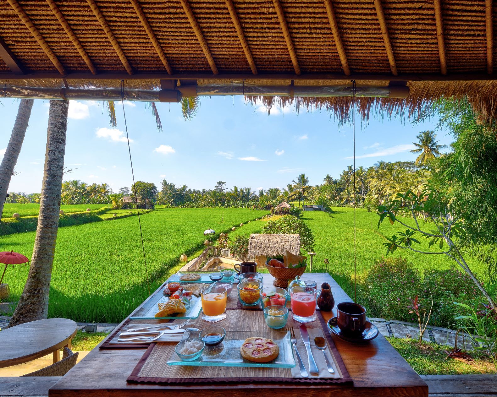 Une table dressée pour le petit-déjeuner, avec vue sur un champ verdoyant et luxuriant et des palmiers.