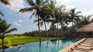 Ein Pool mit Liegestühlen, Palmen und einer strohgedeckten Struktur.