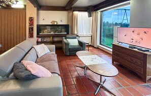 TV, fireplace