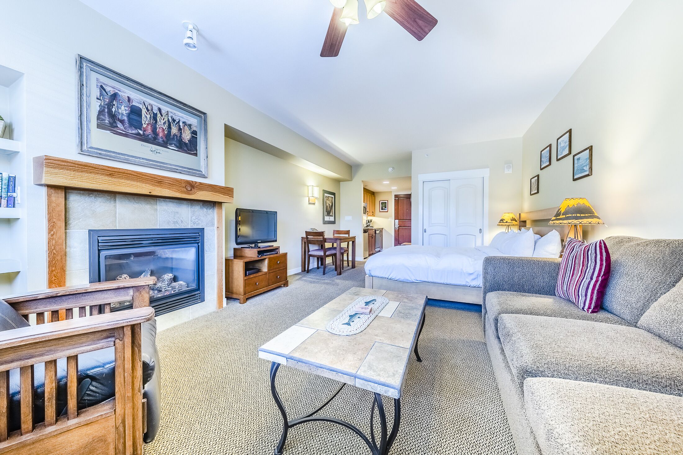 TV connectée, cheminée, lecteur de DVD, livres