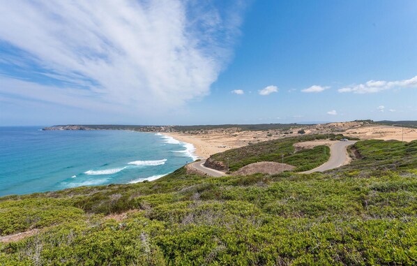 A coastal landscape with a winding road, beach, and vegetation.