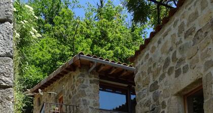 Gite de Chapelèche les Glycines Pour 8 à 10 Personnes