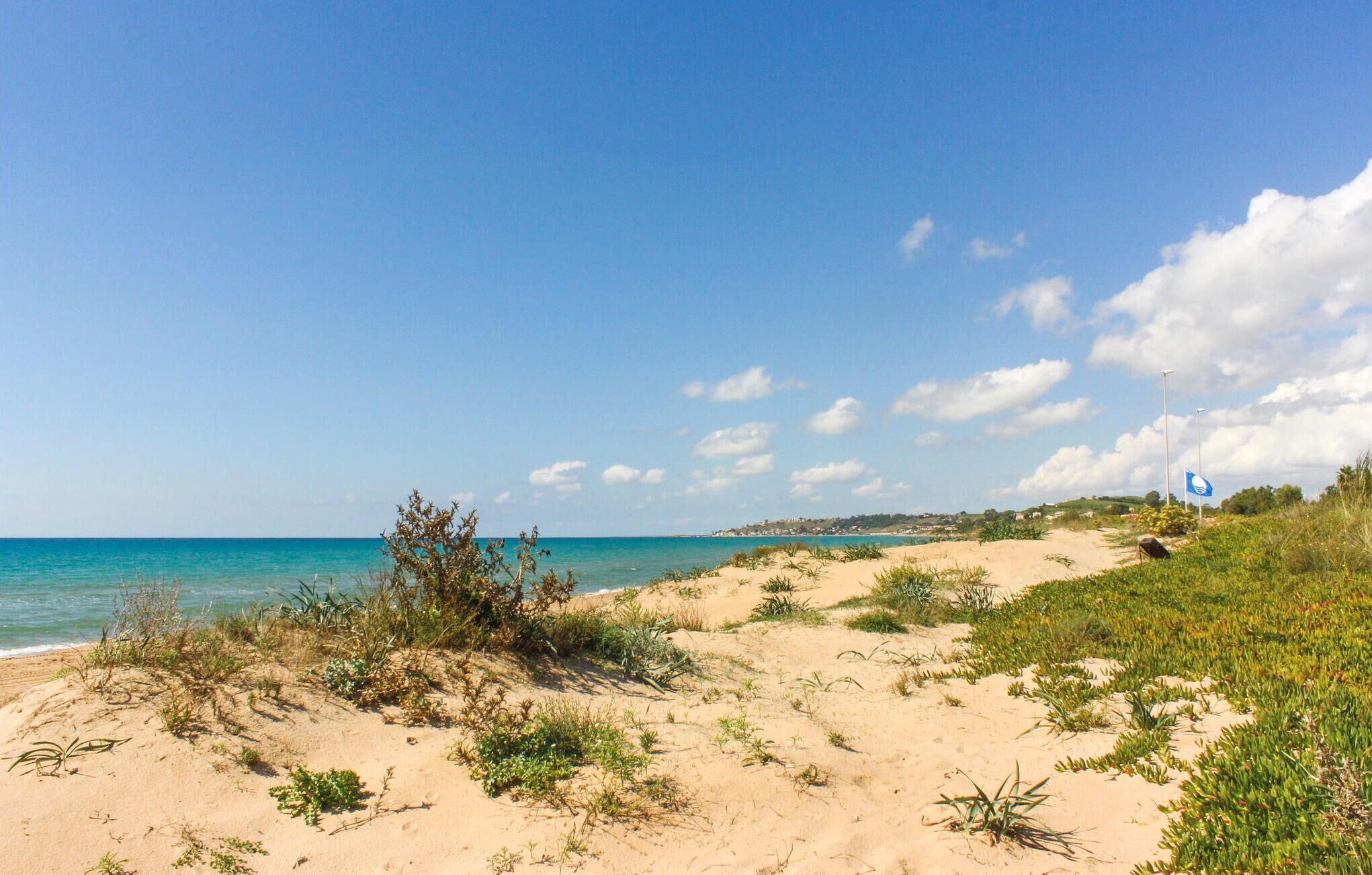 A sandy beach with sparse vegetation and a clear blue sky.