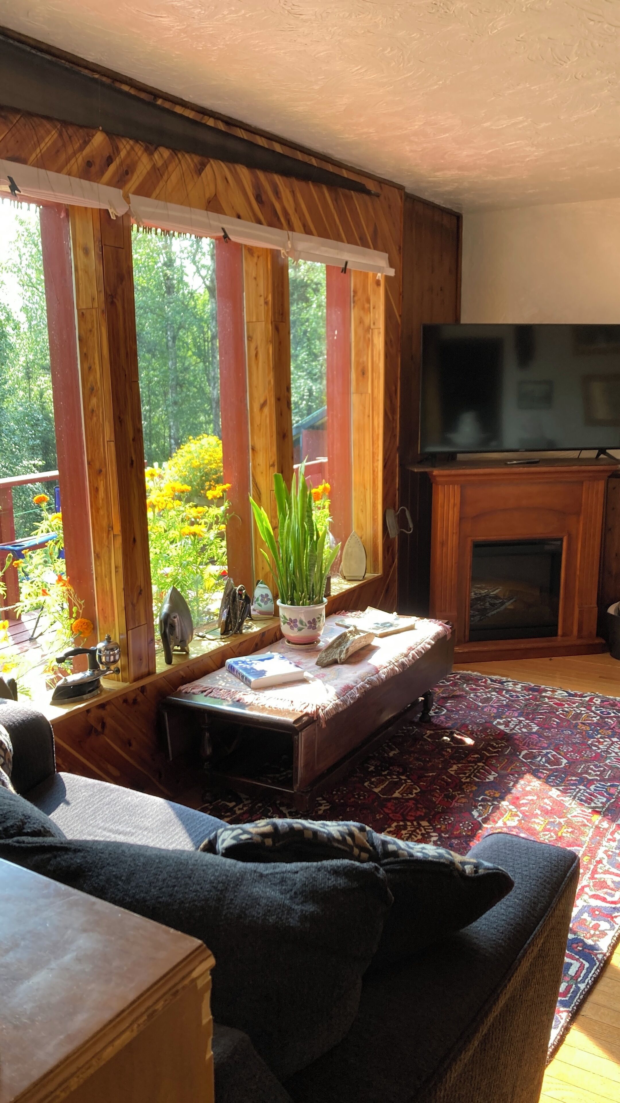 Smart-TV, Kamin, DVD-Player, Bücher