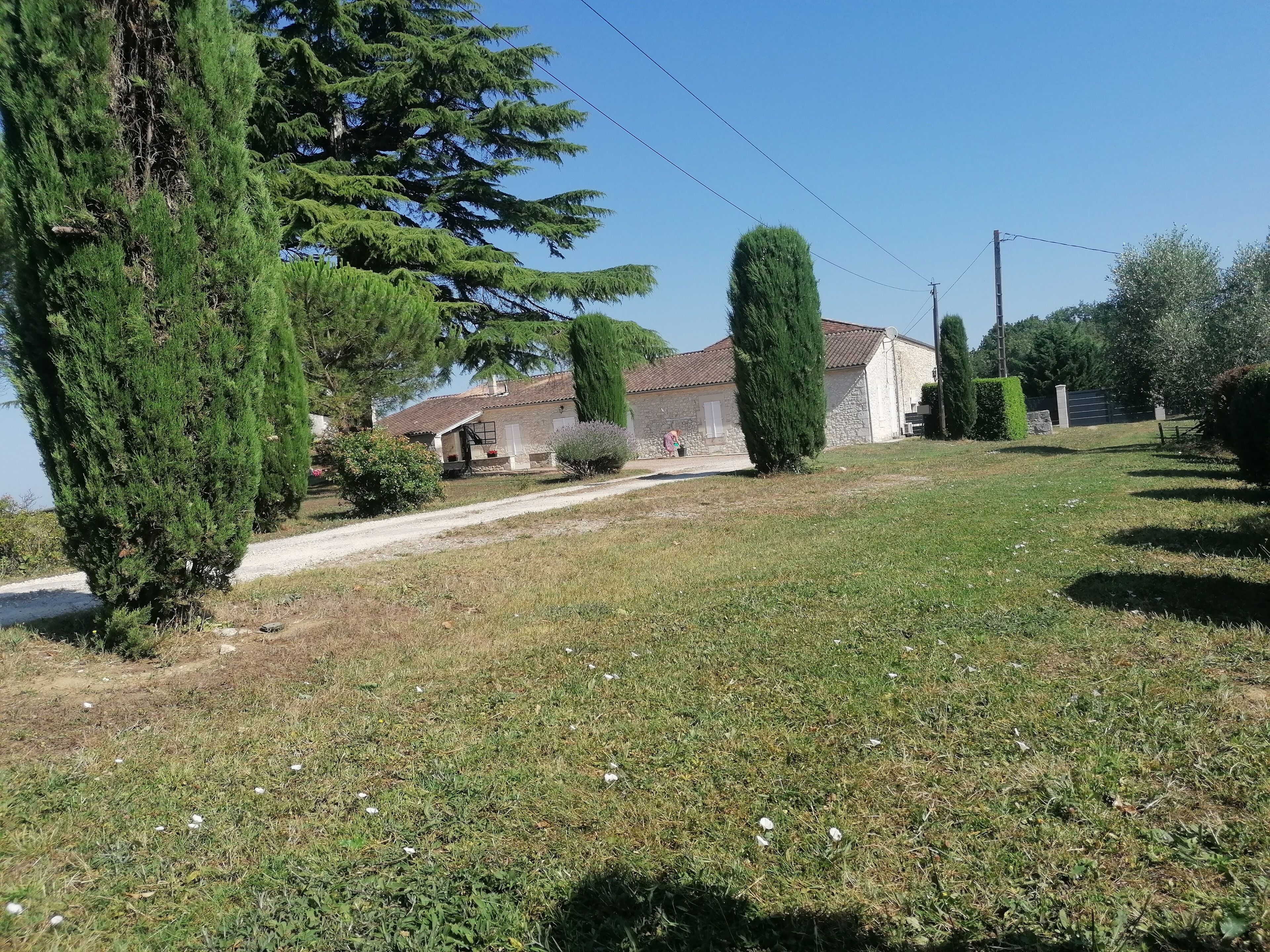 Áreas de la propiedad