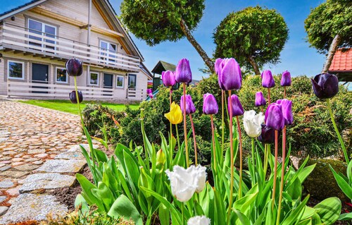 Gorgeous home in Darlowo with WiFi