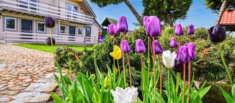 Gorgeous home in Darlowo with sauna