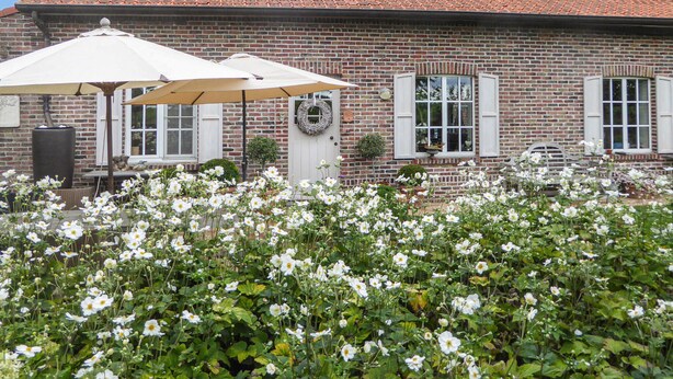 Un edificio de ladrillo con tejado de tejas, contraventanas blancas y un jardín con flores blancas.