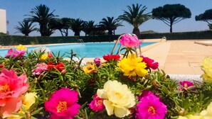 A pool area with colorful flowers in the foreground and palm trees in the background.