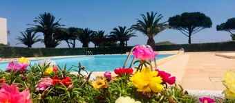 Studio les Pieds Dans Leau