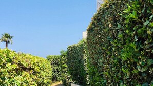A pathway flanked by lush greenery and a white fence, leading towards a building.