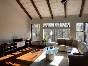Smart TV, fireplace, books, music library