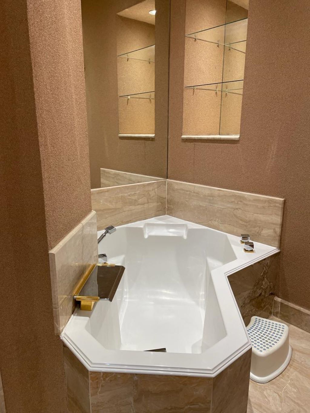 Une salle de bain moderne avec une baignoire sur pieds, une douchette et un petit marchepied.
