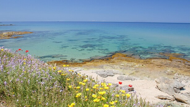 Strand