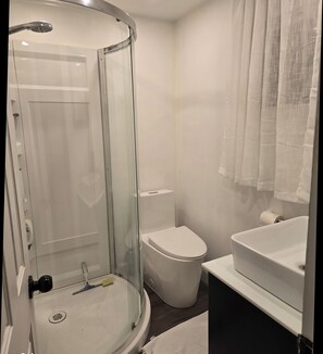 Bathtub, hair dryer, towels, shampoo