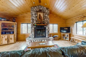 Televisión, chimenea, videojuegos y videoteca