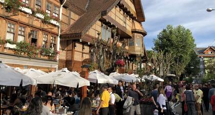 Wonderful house in Campos do JordĂŁo