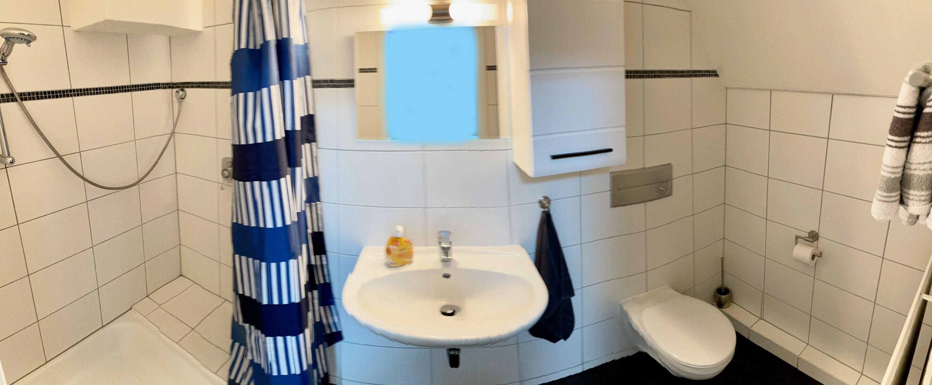 Ett badrum med dusch, handfat, toalett och en handduksställning.