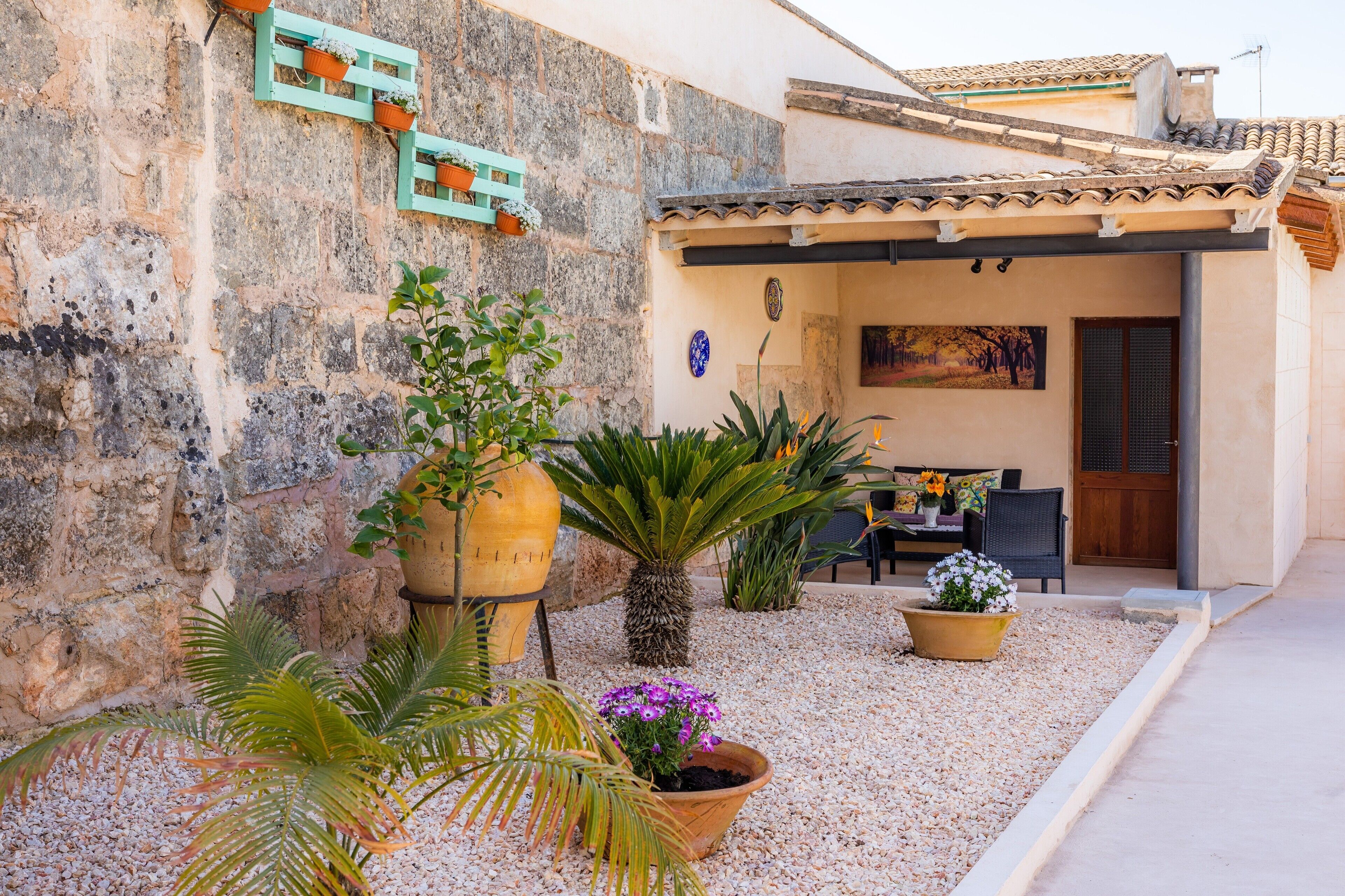 Terraza o patio