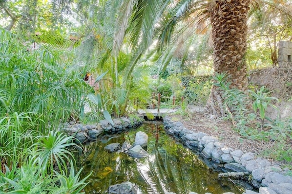 Un jardín tranquilo con un pequeño estanque, abundante vegetación y una palmera.