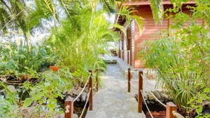 A stone pathway leading to a wooden building surrounded by lush greenery and palm trees. - Villa Mimosa, mountain views, pool, fast Wi-Fi, garden and terrace; parking available (Arafo)