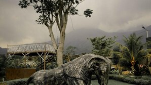 A stone elephant statue in a garden with a tree and a metal structure in the background. - Harmoni Garut (Garut)