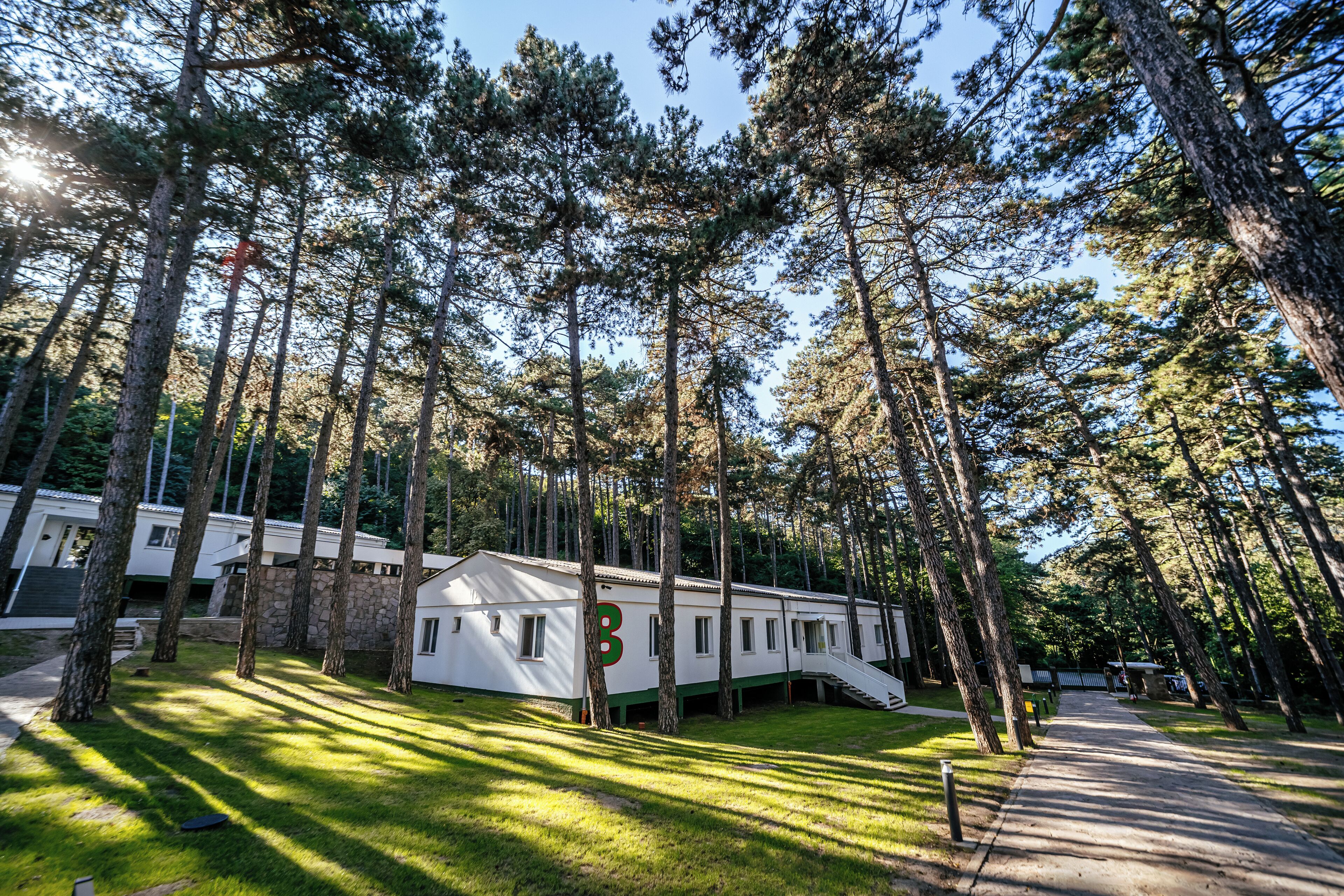 A cabin-style building surrounded by tall trees, with a clear sky above.