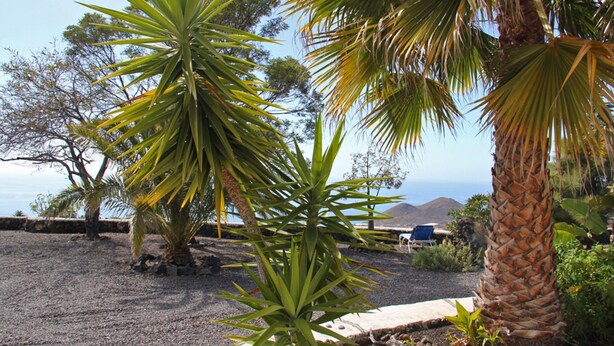 A garden with palm trees and a view of the ocean. - Casa de las Estrellas (Los Llanos)