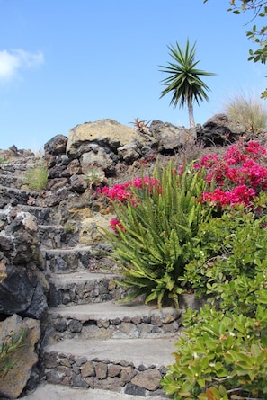 Un escalier en pierre menant au sommet d’une colline rocheuse, où poussent différentes plantes et fleurs.